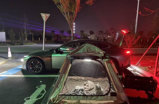 引关注 专家：鼓励探索精神 但安全是前提不朽情缘平台登录网页年轻人旅游带帐篷过夜(图4)